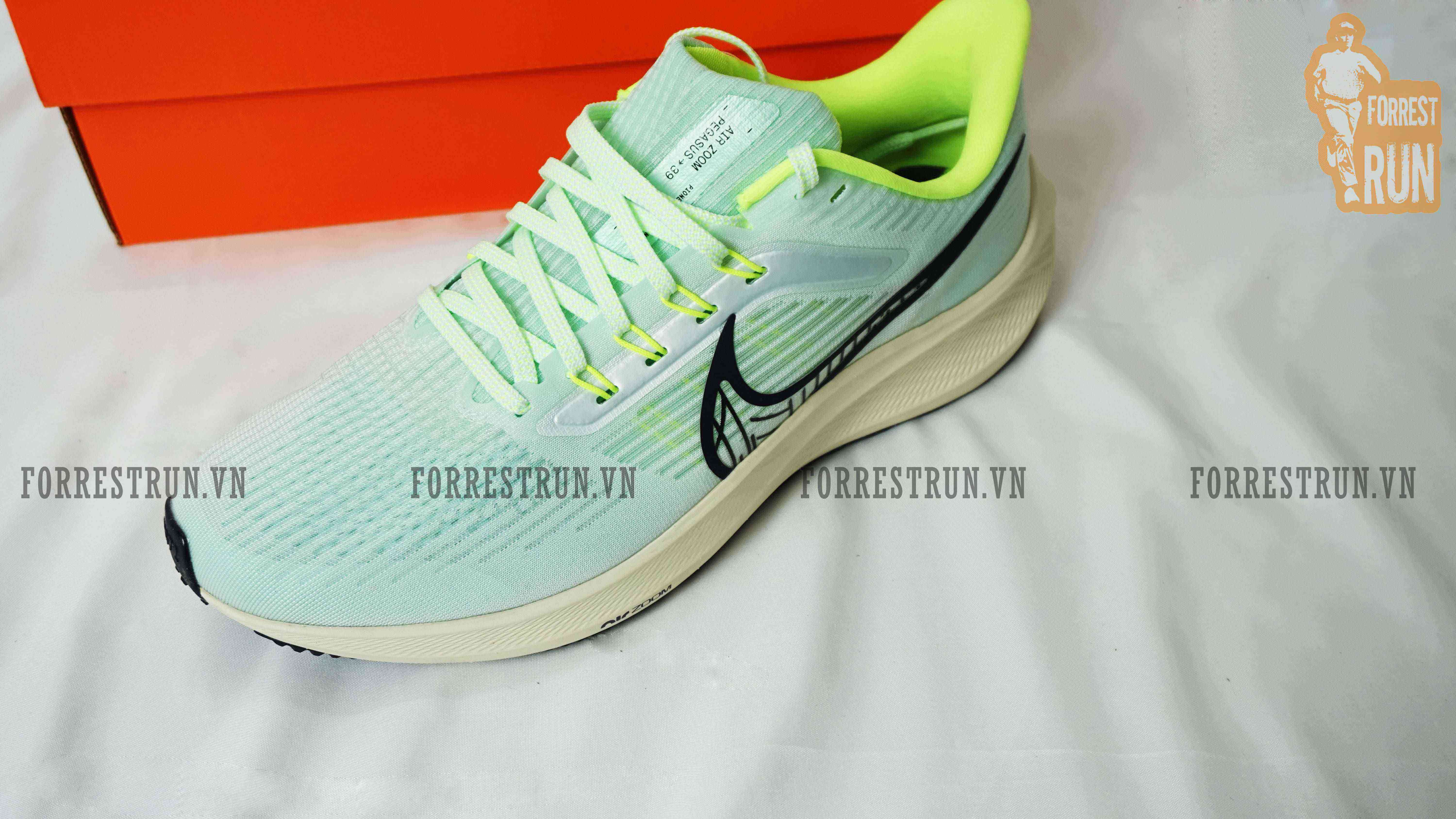 nike pegasus 39 forrestrun