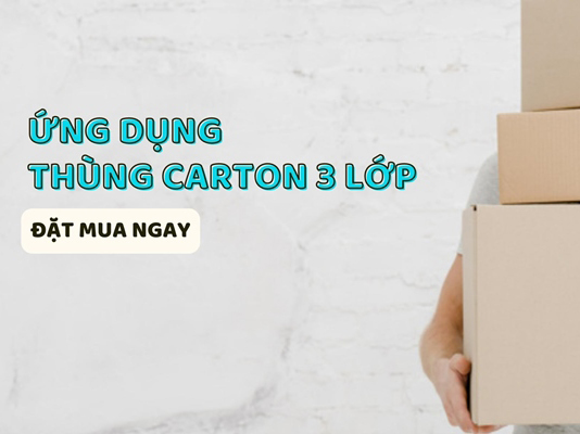 Thùng carton 3 lớp là loại thùng giấy được sử dụng phổ biến nhất hiện nay
