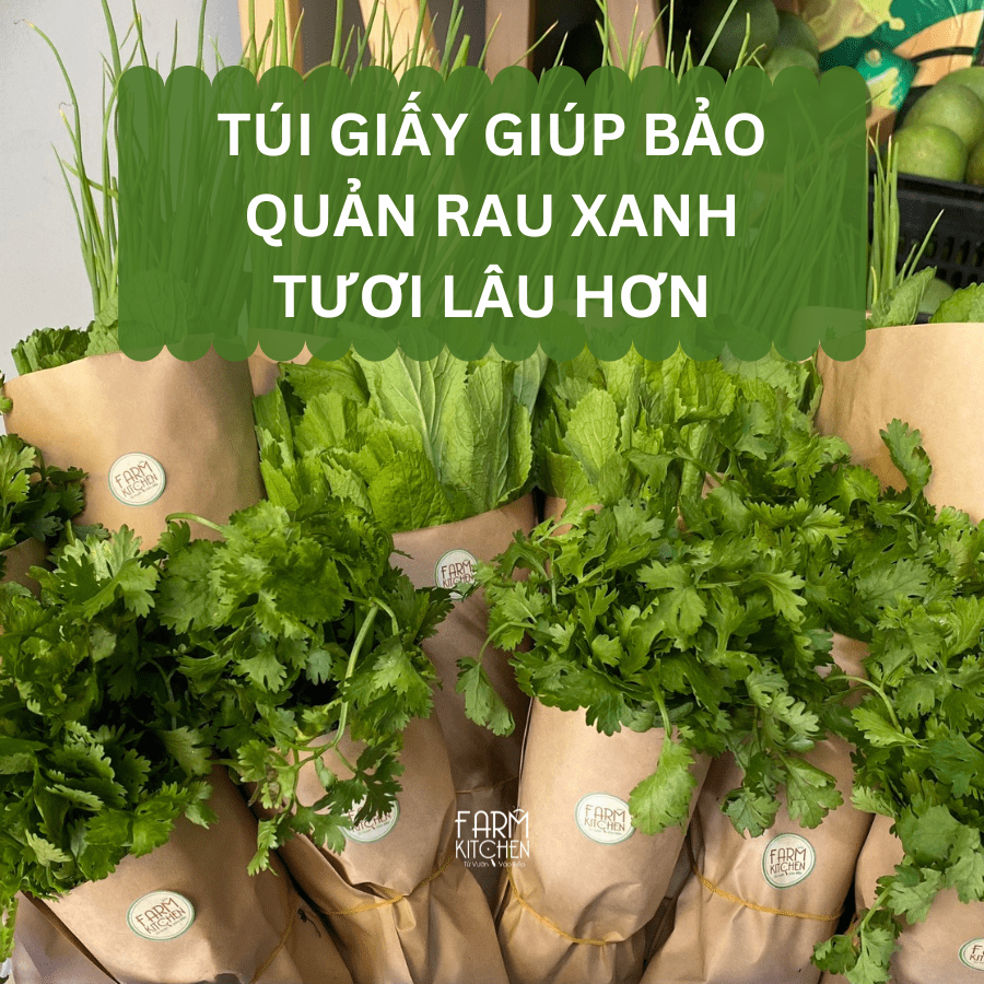 Bảo quản rau củ trong túi giấy sẽ giúp tươi lâu hơn