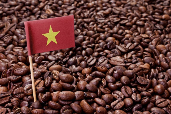 Cà phê Việt Nam có gì đặc biệt để đứng trong top đầu thế giới?