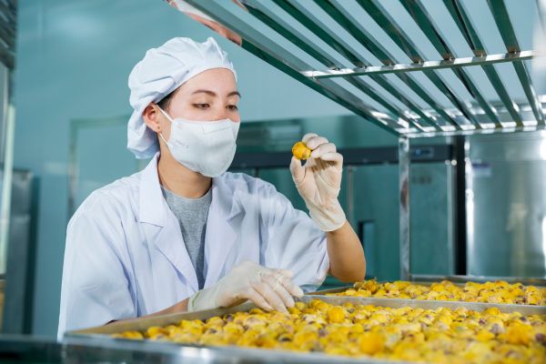 Khám phá Rượu Trà Hoa Vàng: Hương Vị Tinh Tế và Mùi Thơm Quyến Rũ