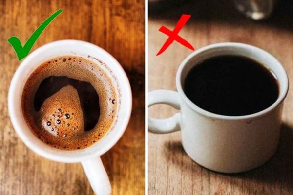 Hướng dẫn cách phân biệt cà phê chồn thật giả để không mua nhầm