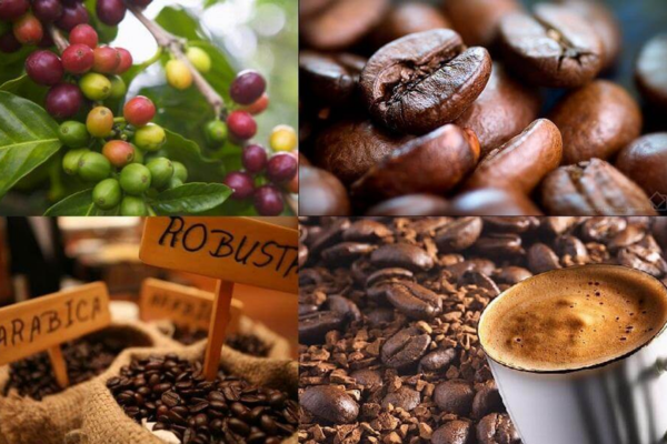 Khám phá các công thức trộn cà phê ngon tạo hương vị độc đáo