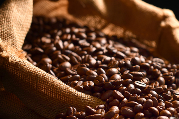 Cà phê Arabica - Hương vị “hảo hạng” từ thiên nhiên