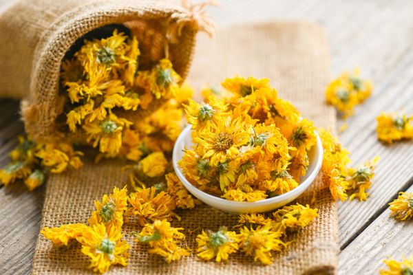 Khám phá các thành phần trà thảo mộc