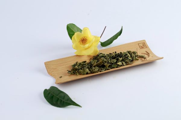 Bật mí cách dùng lá trà hoa vàng tốt cho sức khỏe