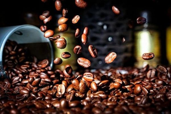 Nét đặc trưng làm nên thương hiệu cà phê Tây Nguyên Việt Nam