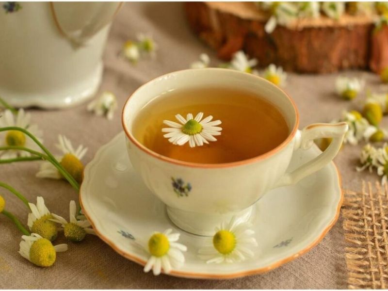 Trà hoa cúc là gì? Ai không nên uống trà hoa cúc?