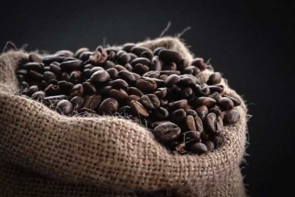 Vị đắng trong hạt cà phê Robusta đến từ đâu?