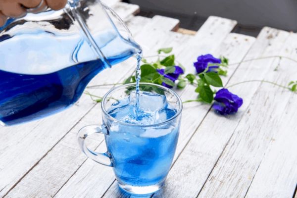 Bật mí những công dụng đặc biệt của trà hoa đậu biếc