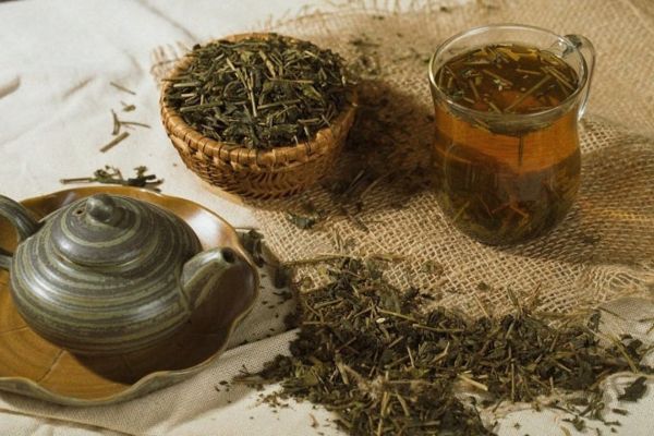 Trà sâm dứa là gì và những lợi ích cho sức khoẻ của sâm dứa