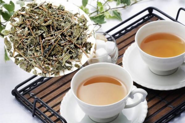 Trà xạ đen là gì? Những công dụng đặc biệt của trà xạ đen