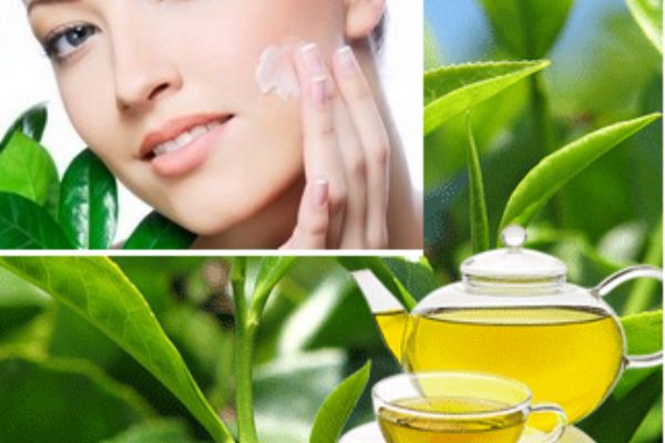 Uống loại trà mát gan trị mụn nào hiệu quả hiện nay?