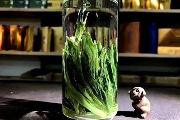 Top 7 loại trà cao cấp đắt nhất trên thế giới có thể bạn chưa biết