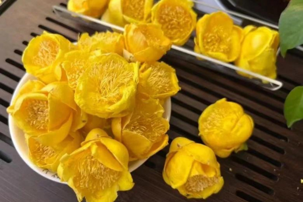 Tác dụng vô giá của cây Trà Hoa Vàng