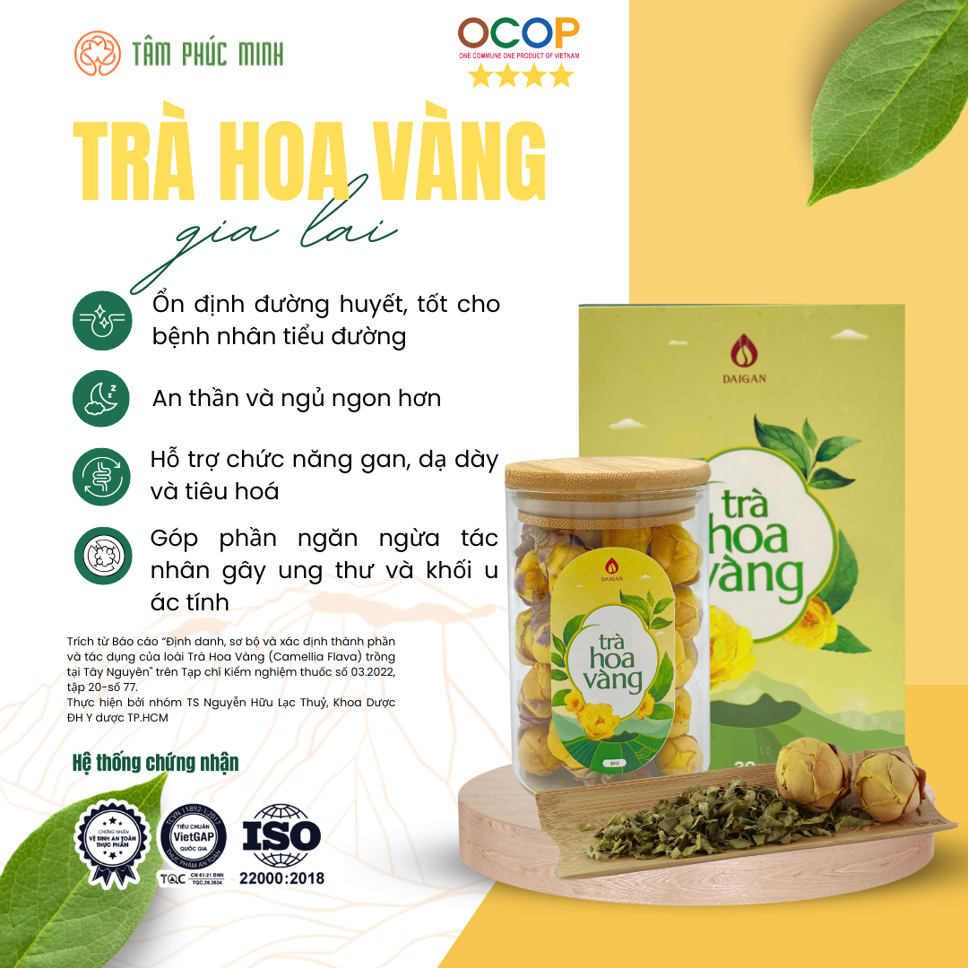 Trà Hoa Vàng Gia Lai - Hộp 30g