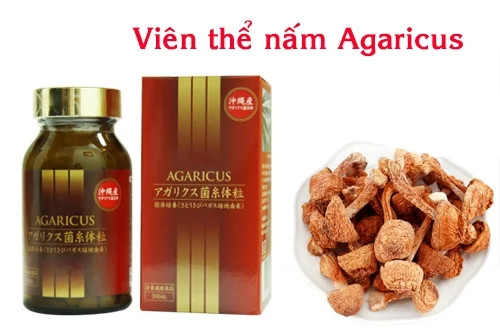 NẤM  AGARICUS - HỖ TRỢ TĂNG CƯỜNG MIỄN DỊCH, TĂNG ĐỀ KHÁNG CHO NGƯỜI BỆNH