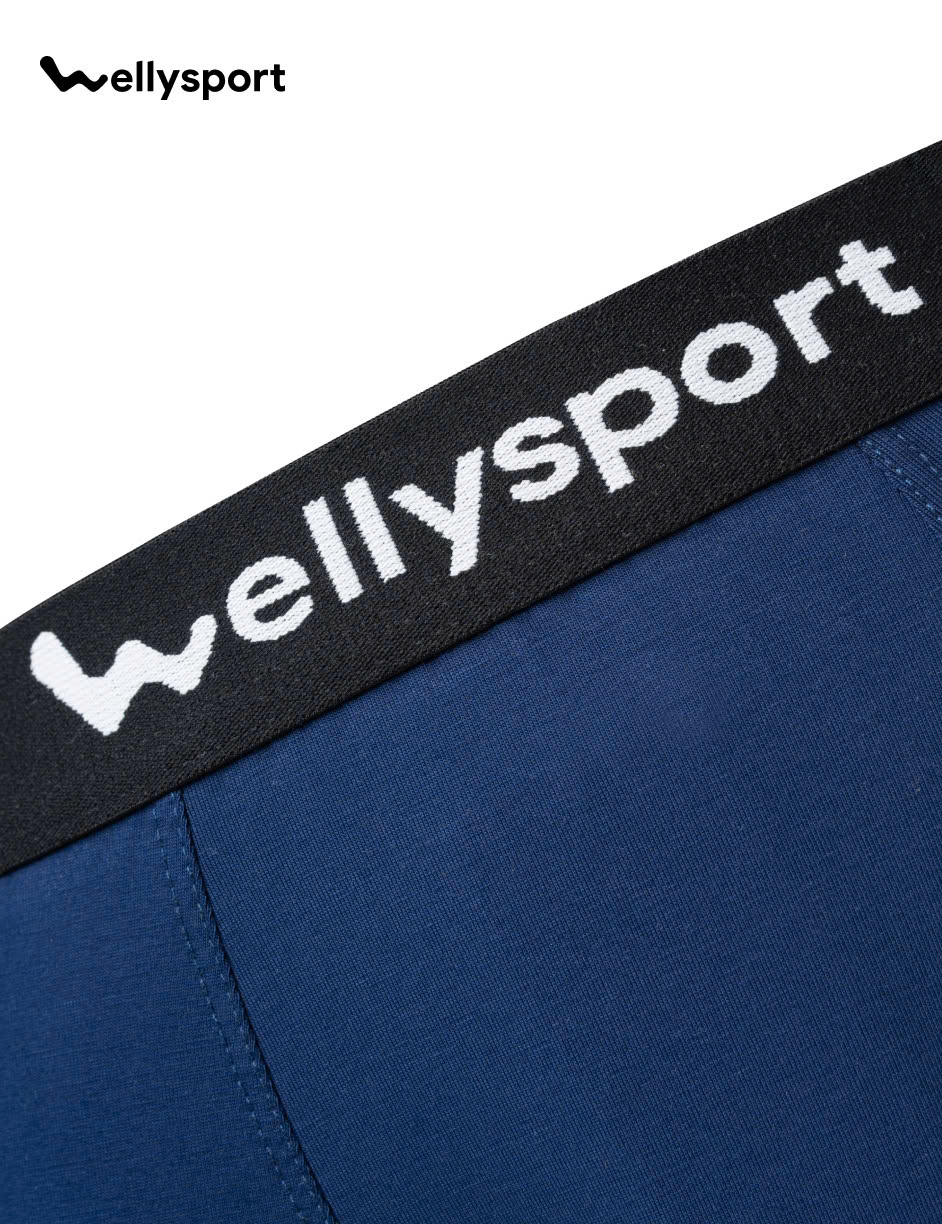 Quần Lót Nam Trunk Cotton Co Giãn Thoải Mái, Welly Sport, Mã QLN - Combo 3