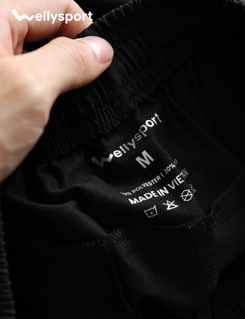 Quần Short Thể Thao Nam 2 Sọc , Welly Sport, thoáng khí, thoải mái vận động, Mã QSPQ
