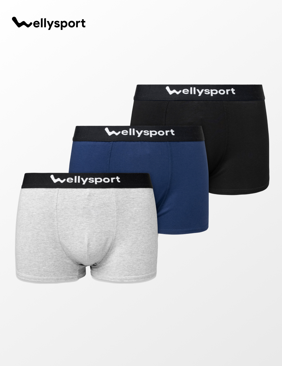 Quần Lót Nam Trunk Cotton Co Giãn Thoải Mái, Welly Sport, Mã QLN - Combo 3