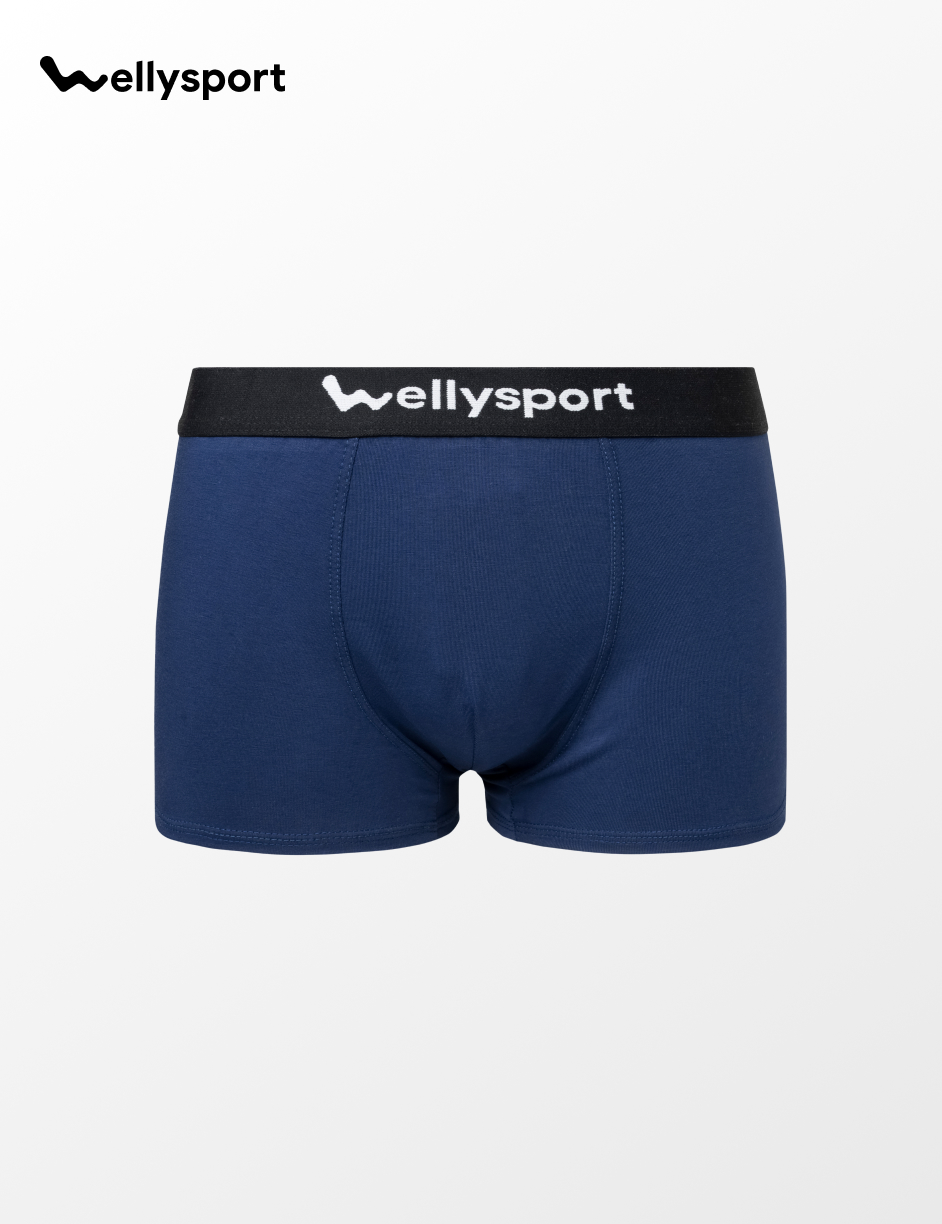 Quần Lót Nam Trunk Cotton Co Giãn Thoải Mái, Welly Sport, Mã QLN - Combo 3