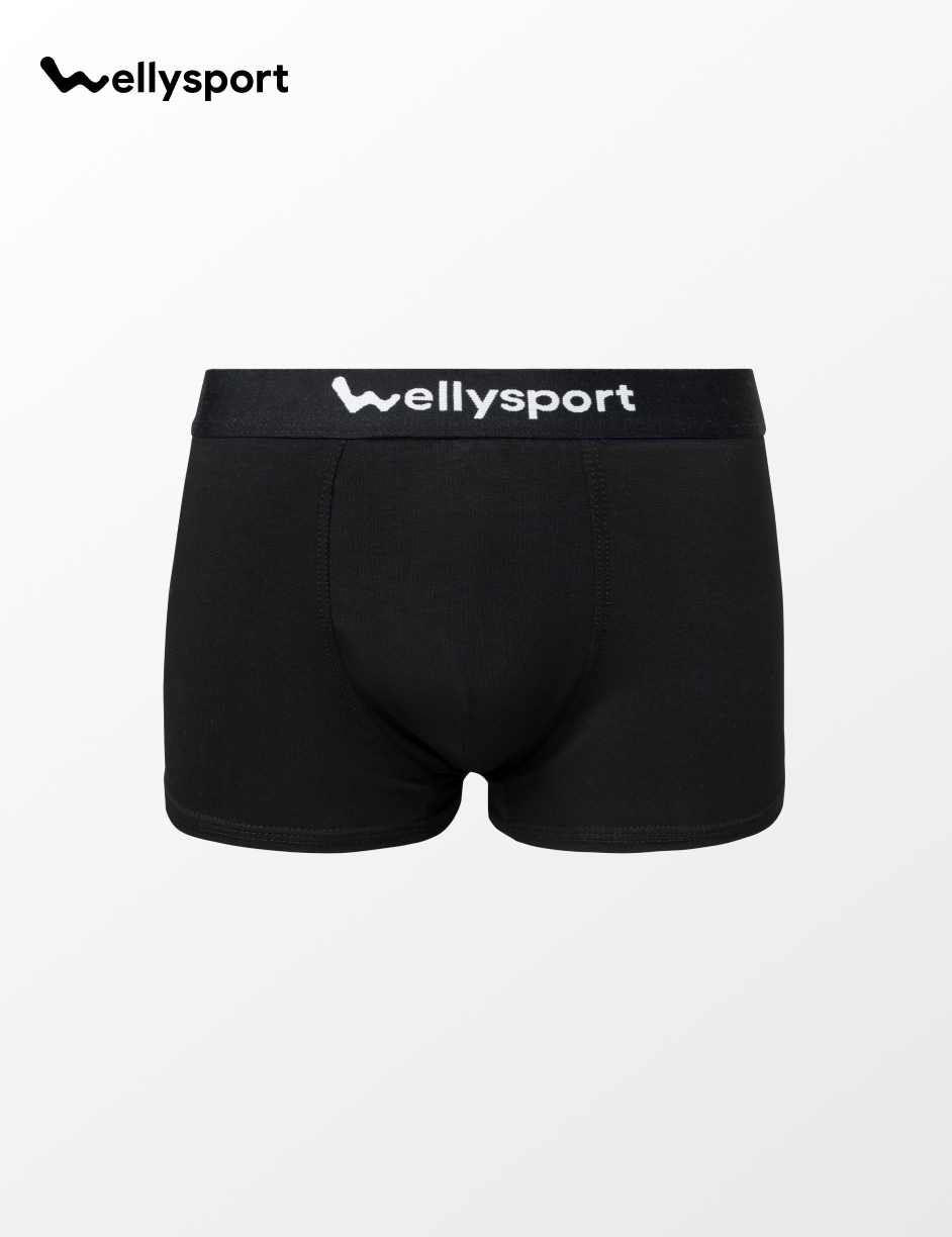 Quần Lót Nam Trunk Cotton Co Giãn Thoải Mái, Welly Sport, Mã QLN - Combo 3