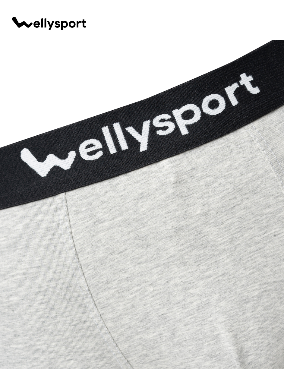 Quần Lót Nam Trunk Cotton Co Giãn Thoải Mái, Welly Sport, Mã QLN - Combo 3