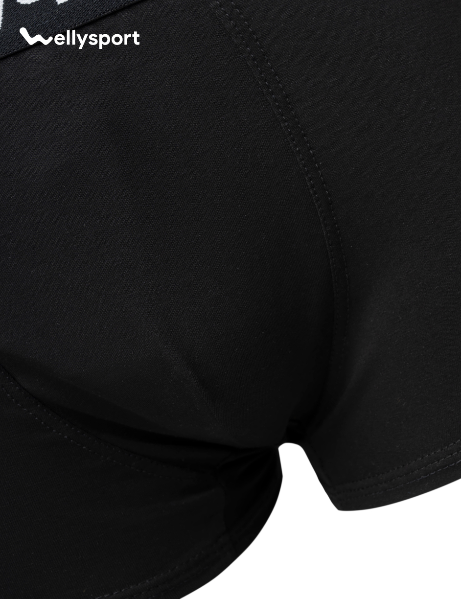 Quần Lót Nam Trunk Cotton Co Giãn Thoải Mái, Welly Sport, Mã QLN - Combo 3