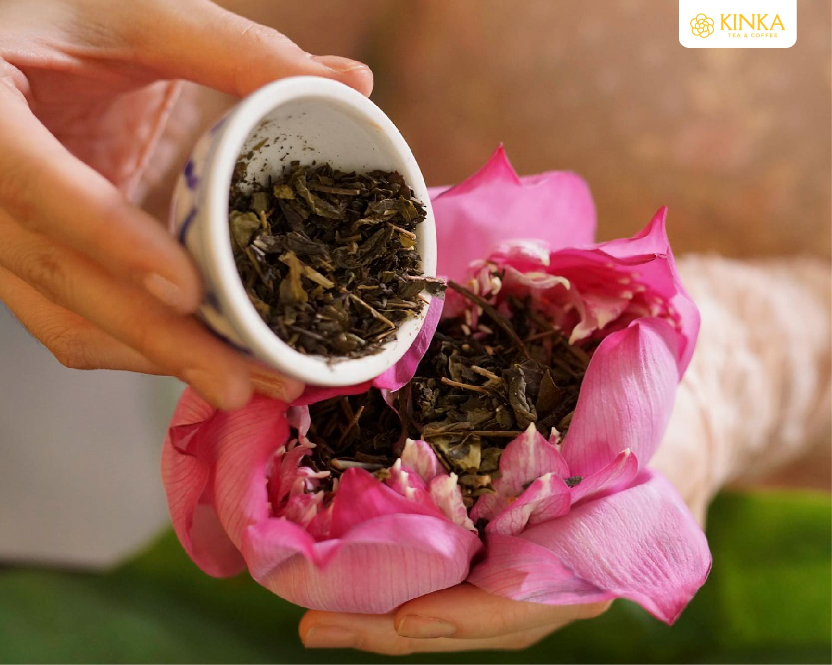 Các loại trà ngon ở Việt Nam được nhiều người dùng