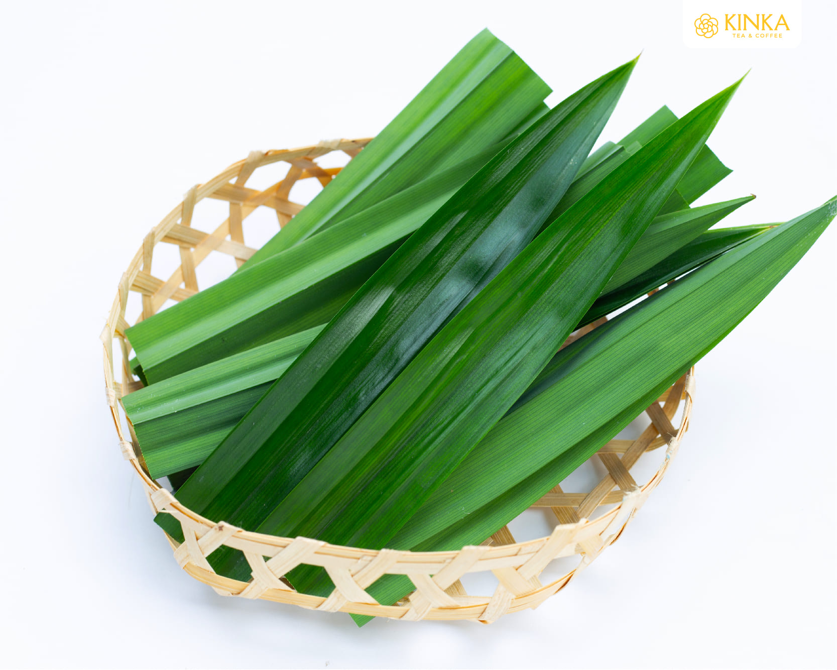 Trà Sâm Dứa Bảo Lộc