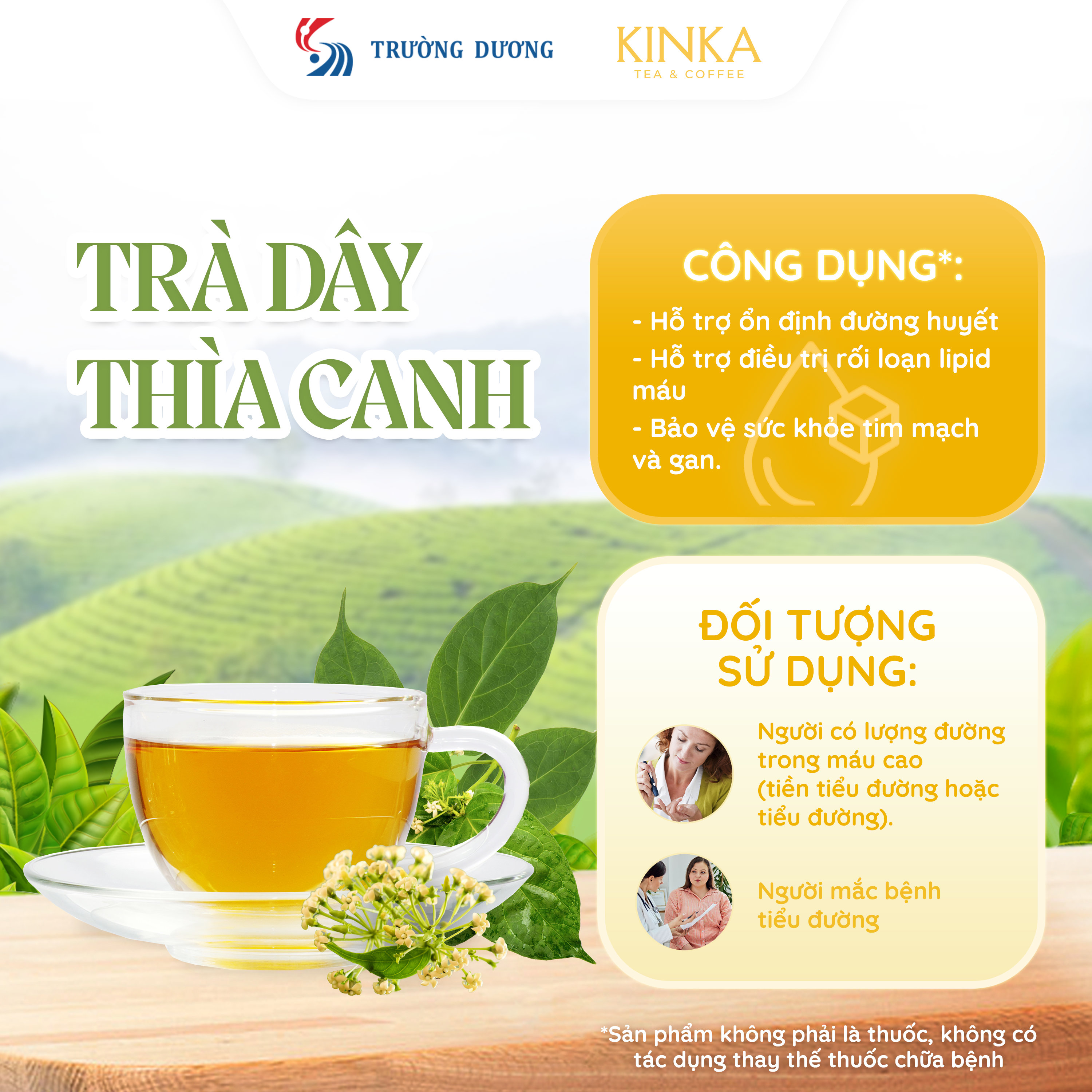 Trà Dây Thìa Canh 50g (25 gói x 2g)