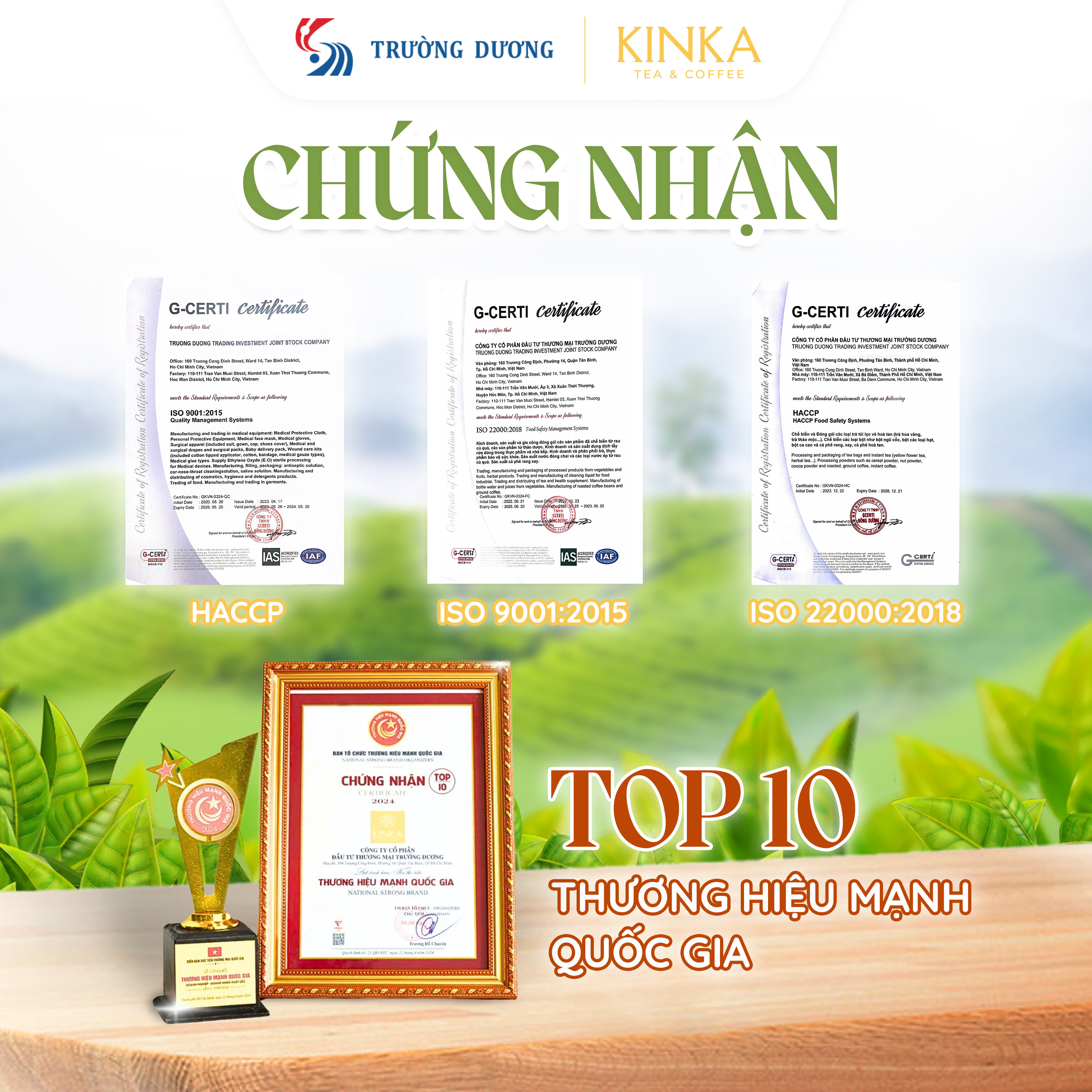 Trà Dây Thìa Canh 50g (25 gói x 2g)