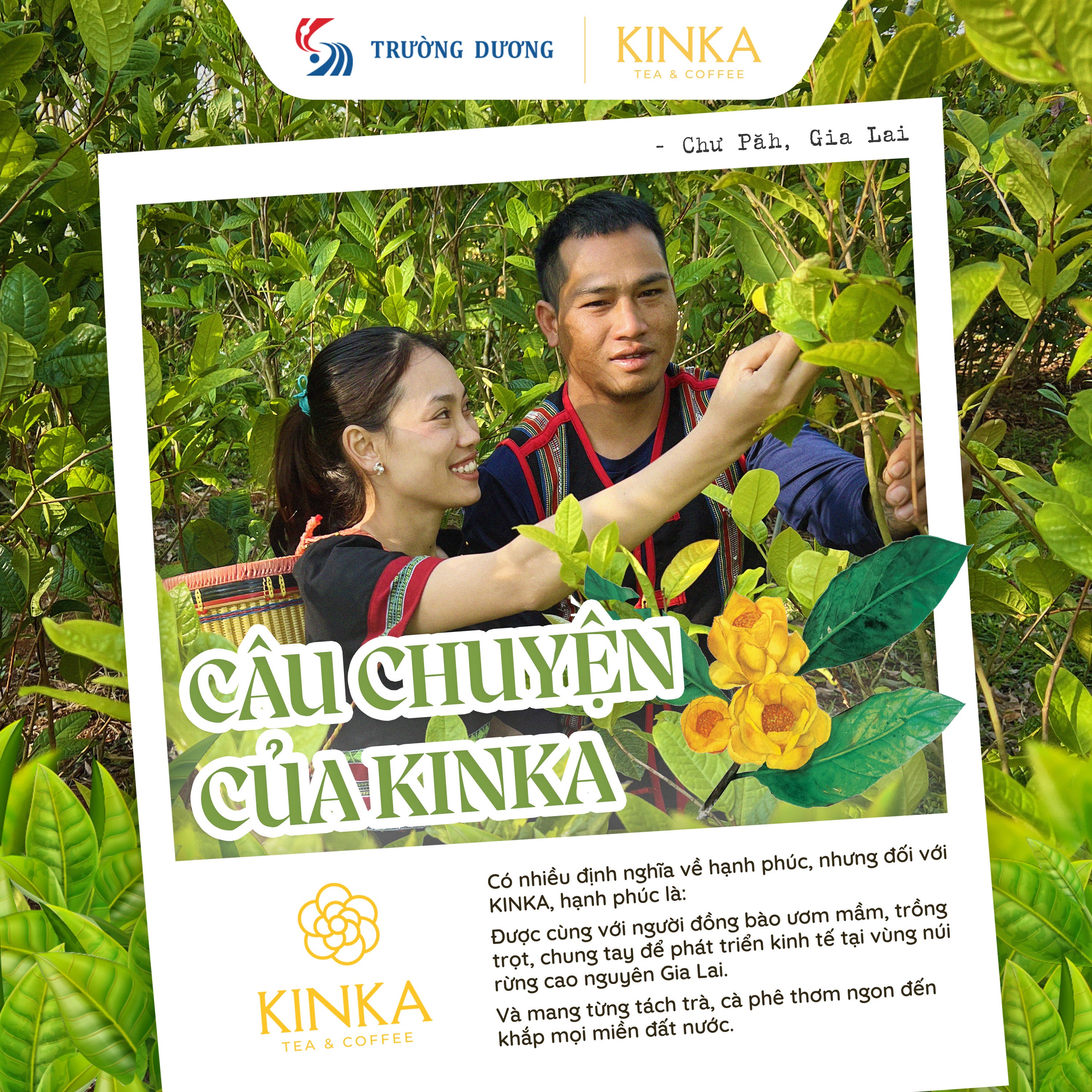 Trà Dây Thìa Canh 50g (25 gói x 2g)