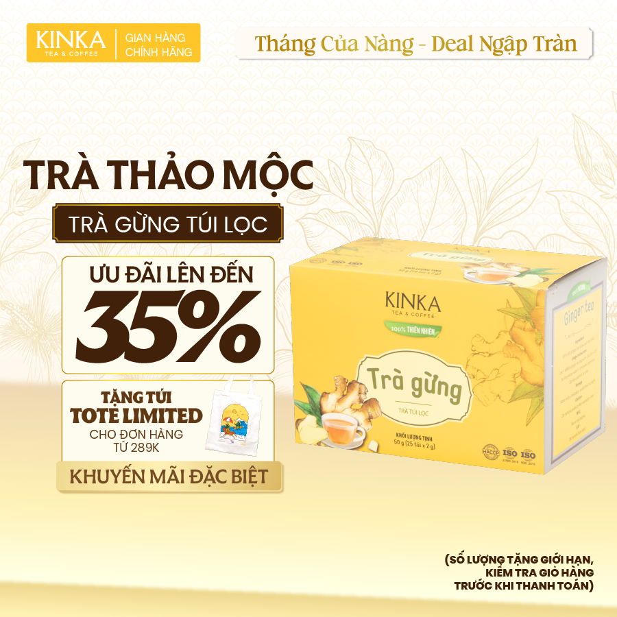 Trà Gừng túi lọc 50g (25 gói x 2g)