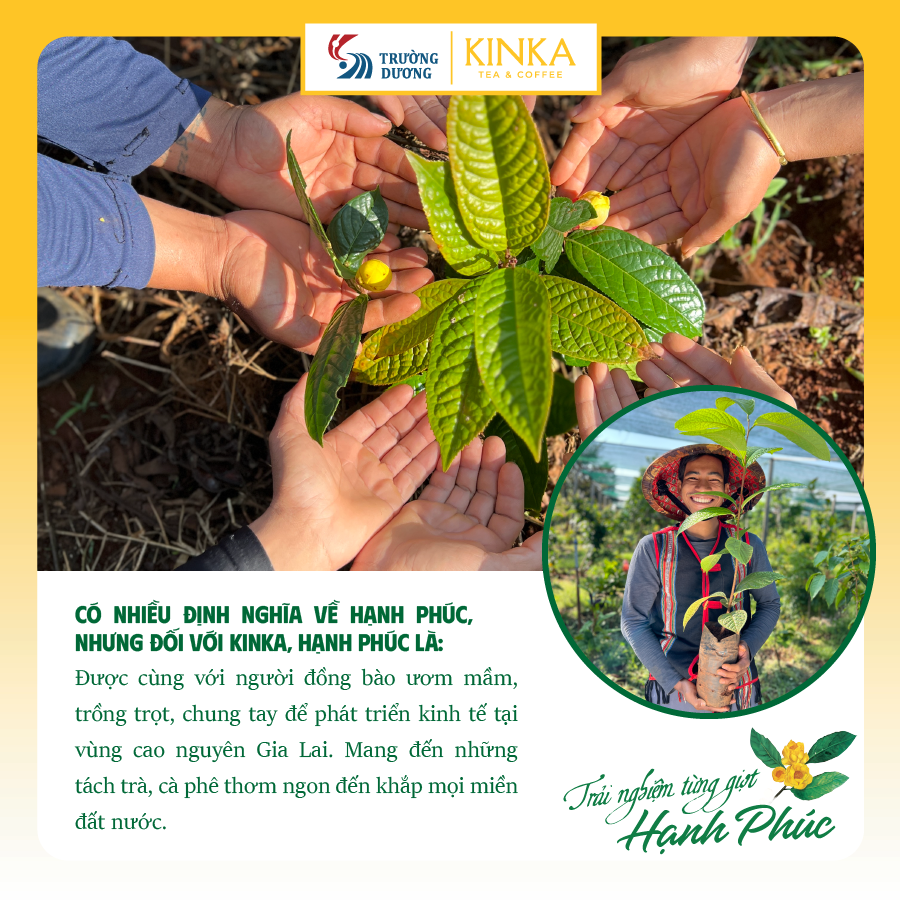 Set trà Phúc Duyên - Hoa trà hoa vàng Gia Lai - Sản phẩm OCOP