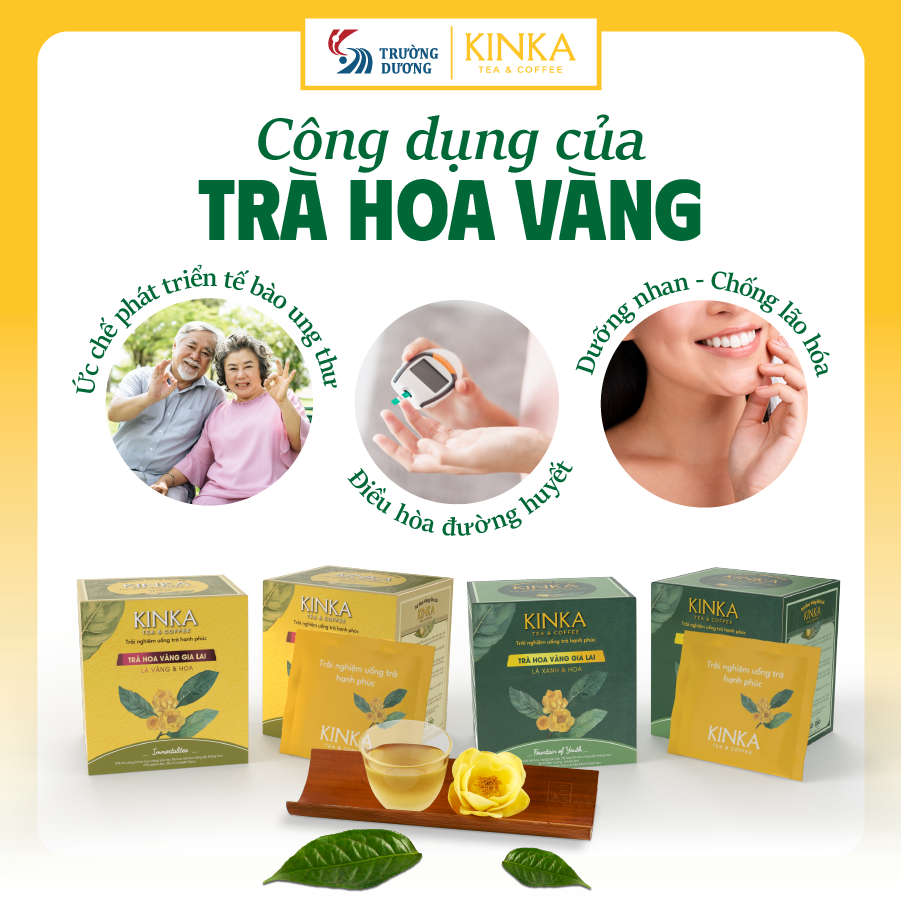 FOUNTAIN OF YOUTH | Trà Hoa Vàng Gia Lai - Lá Xanh & Hoa 40g (20 gói x 2g)