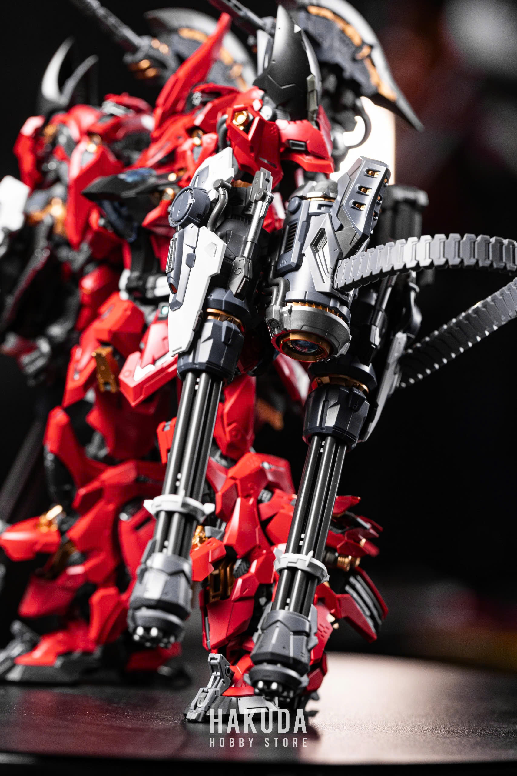 Review mô hình LIZARD INERA+