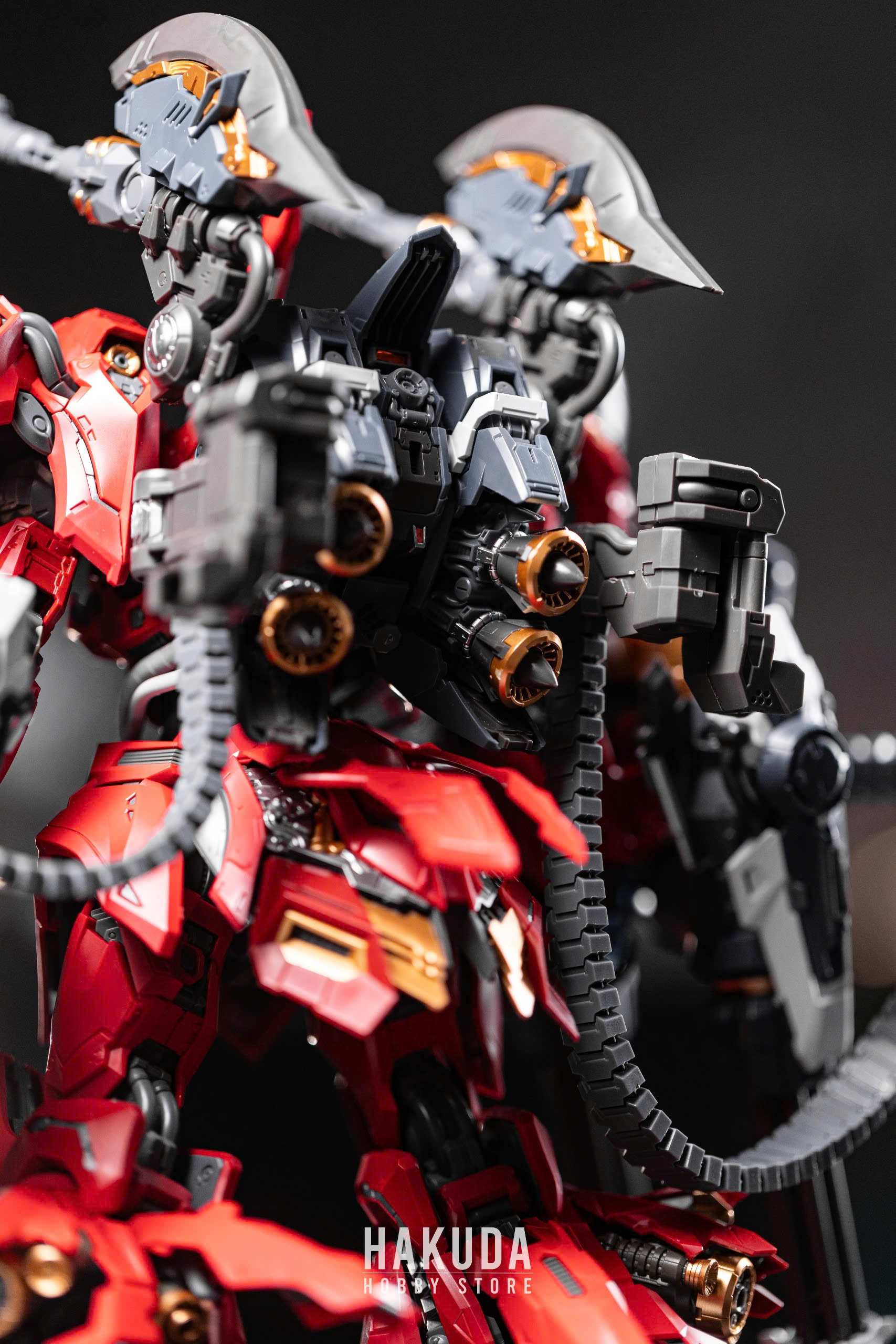 Review mô hình LIZARD INERA+