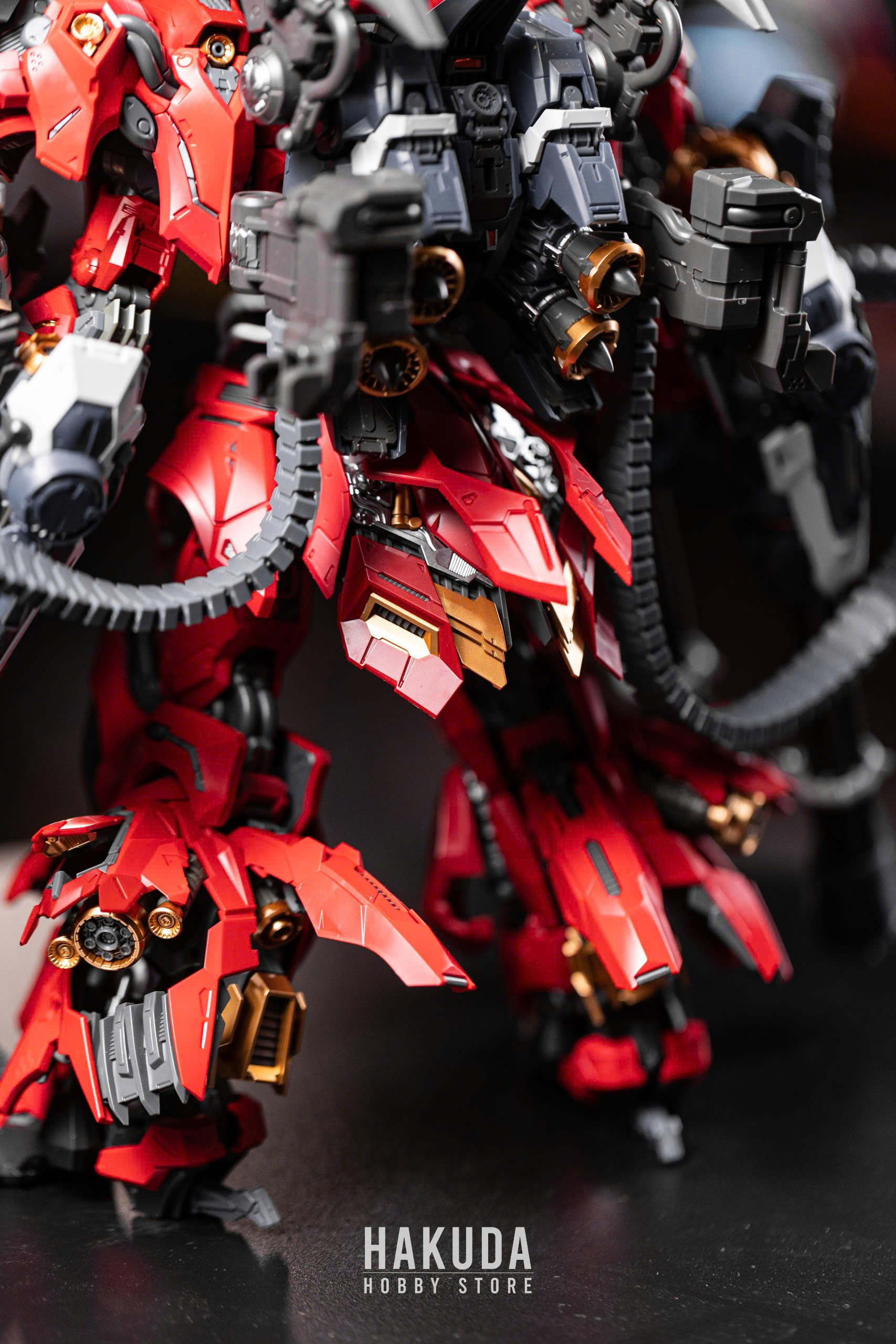 Review mô hình LIZARD INERA+