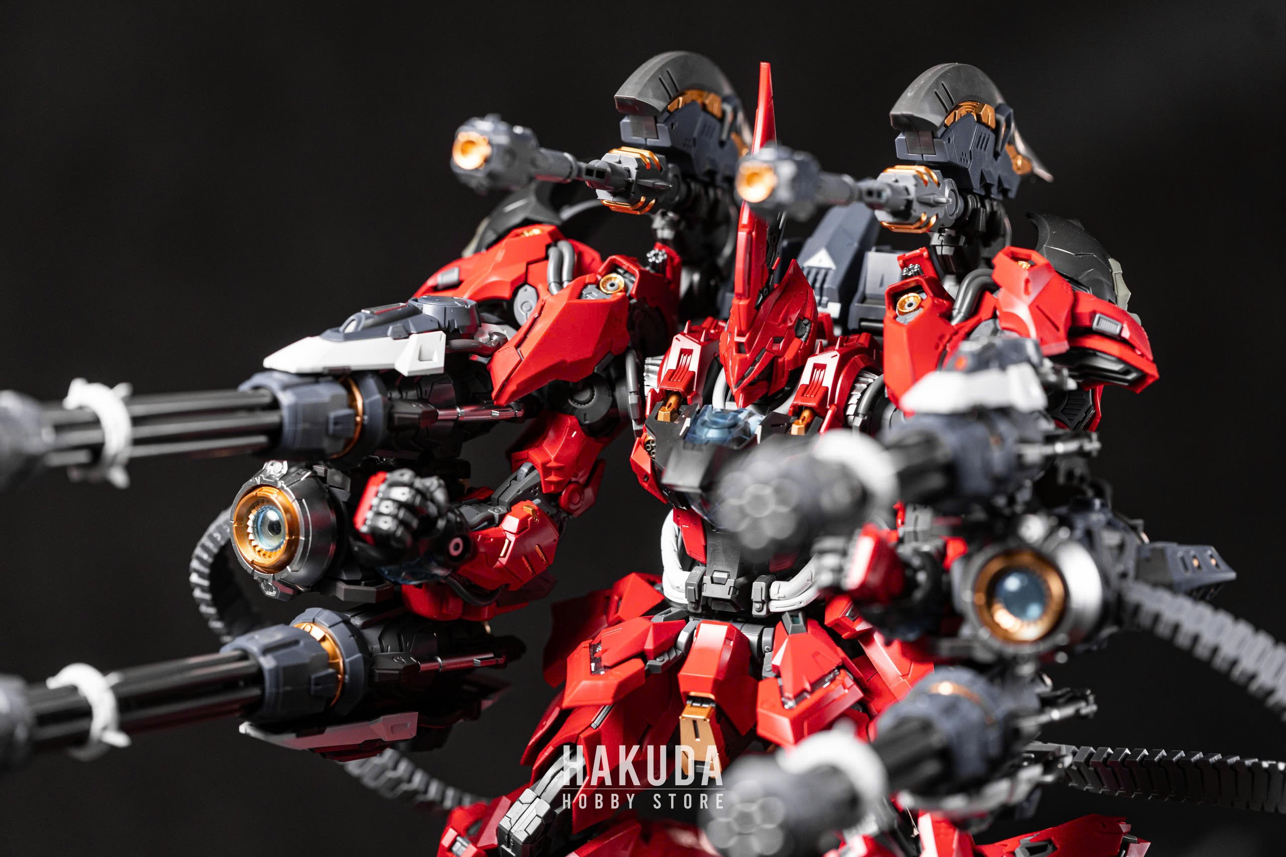 Review mô hình LIZARD INERA+