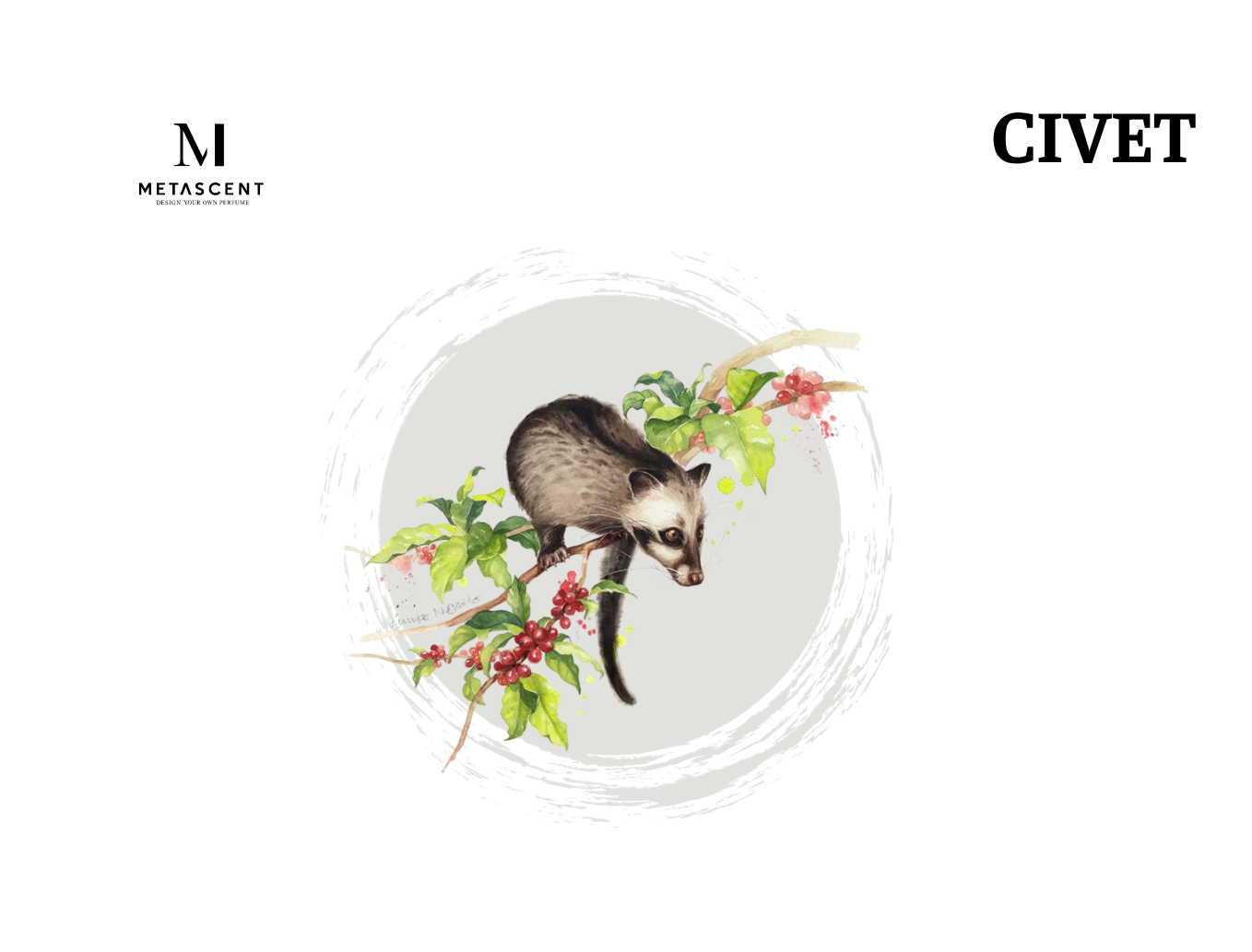Civet Civet