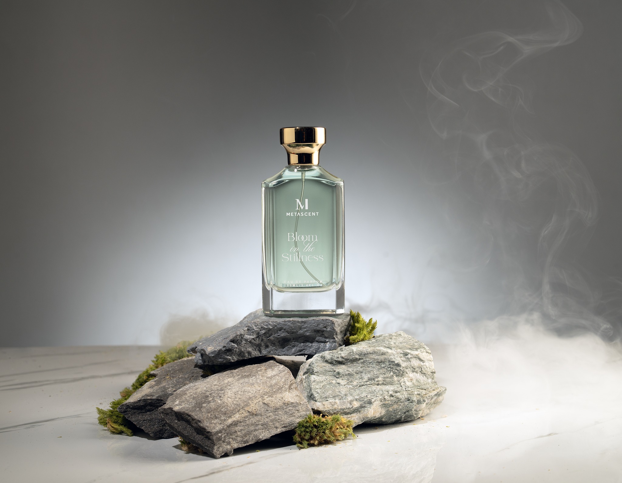 BLOOM IN THE STILLNESS