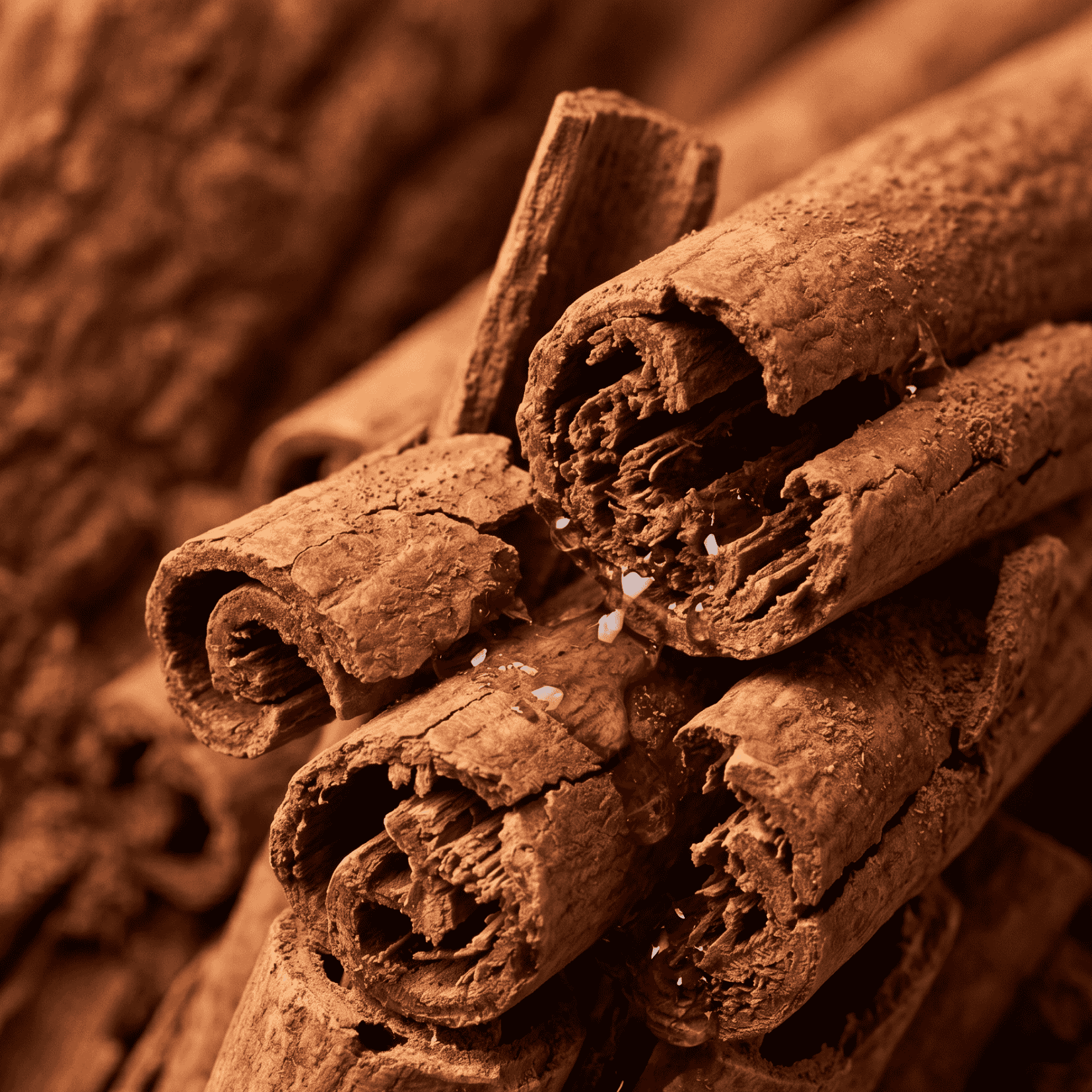 RAW MATERIAL - CINNAMON BARK OIL