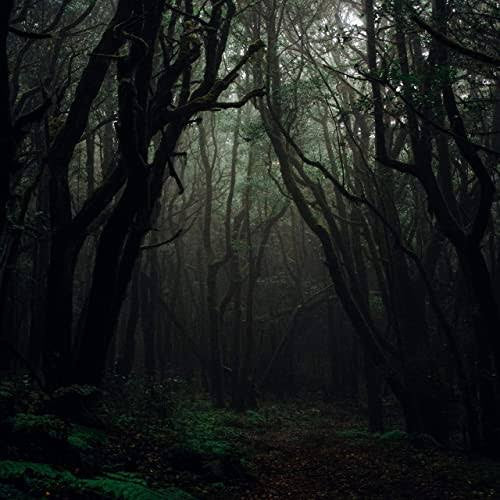 Dark Forest