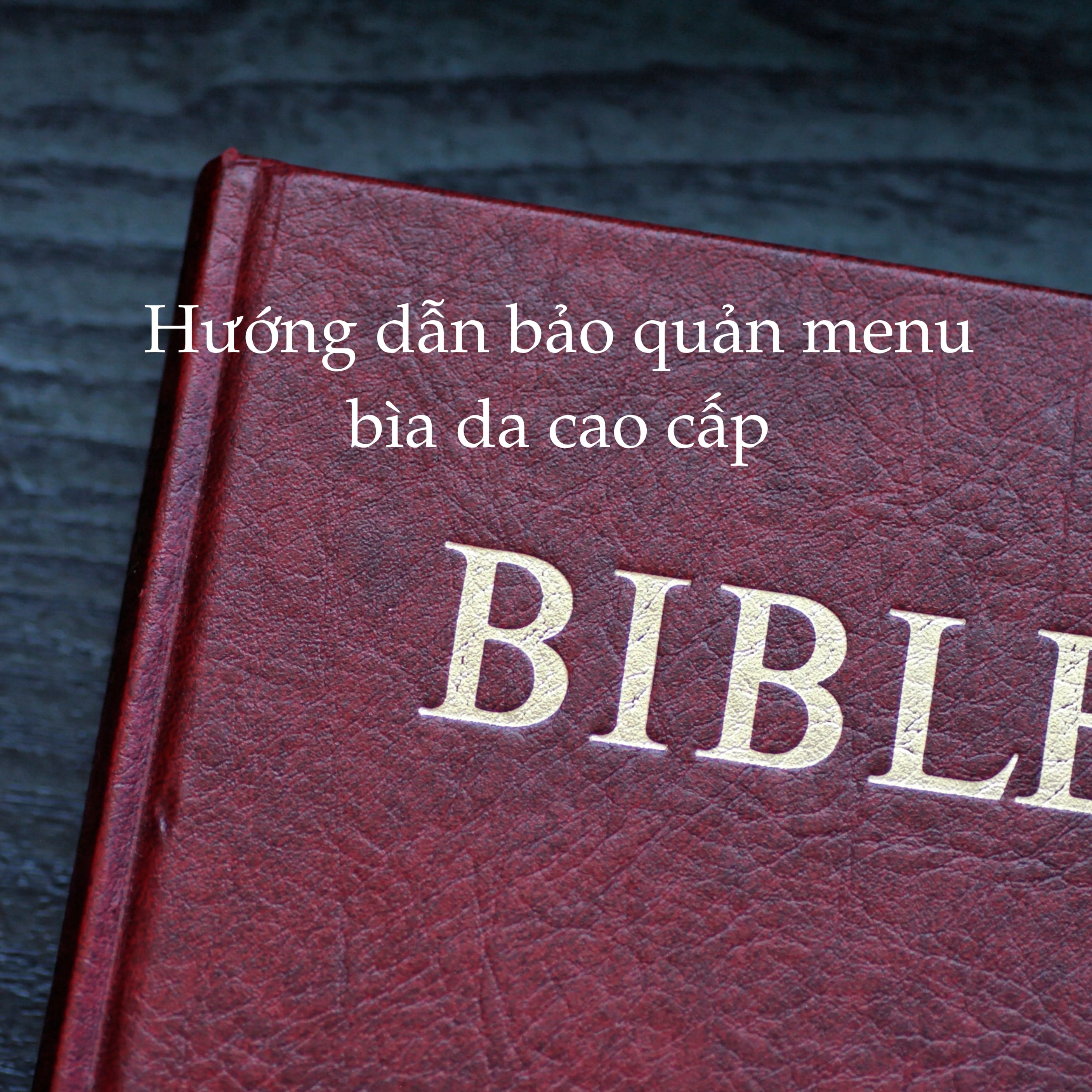 Hướng Dẫn Chi Tiết Cách Bảo Quản Menu Bìa Da Cao Cấp Bền Lâu