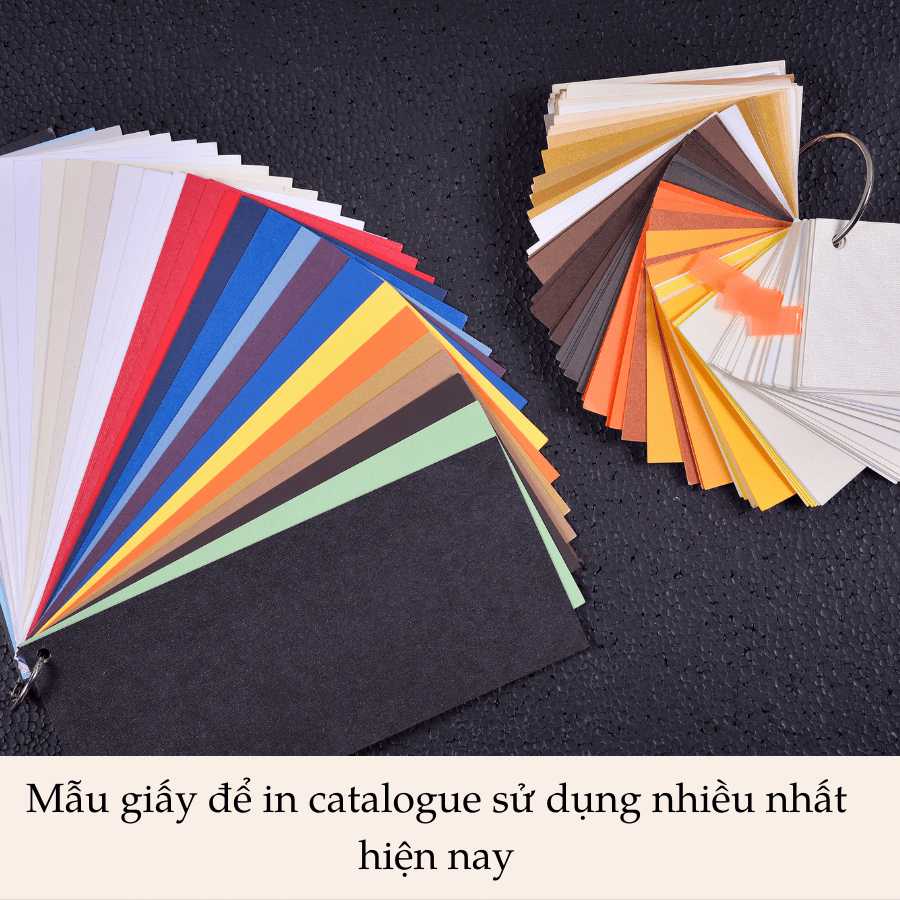 Mẫu giấy để in catalogue sử dụng nhiều nhất hiện nay
