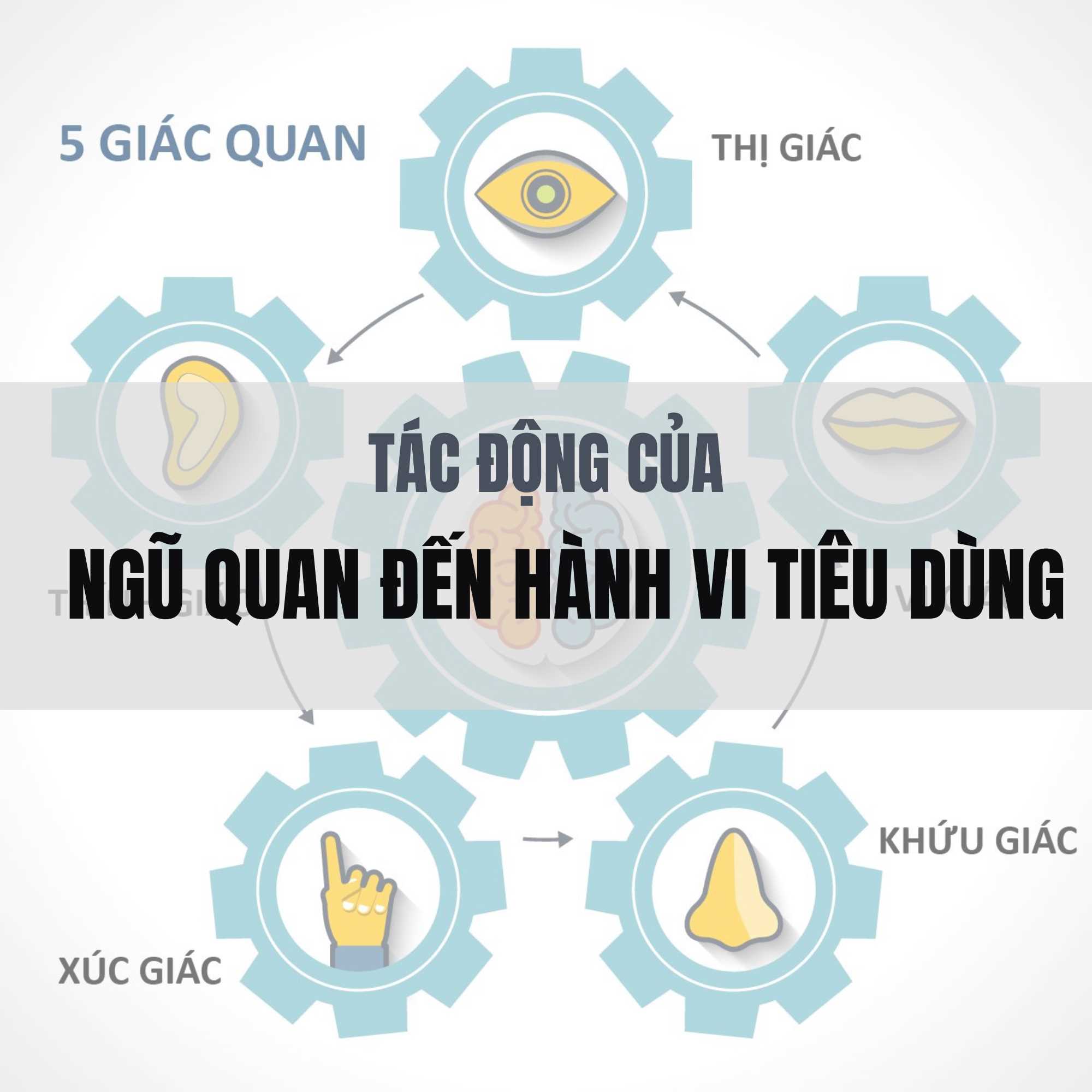 SỰ TÁC ĐỘNG CỦA NGŨ QUAN ĐẾN HÀNH VI TIÊU DÙNG MÀ CHỦ QUÁN NÊN BIẾT
