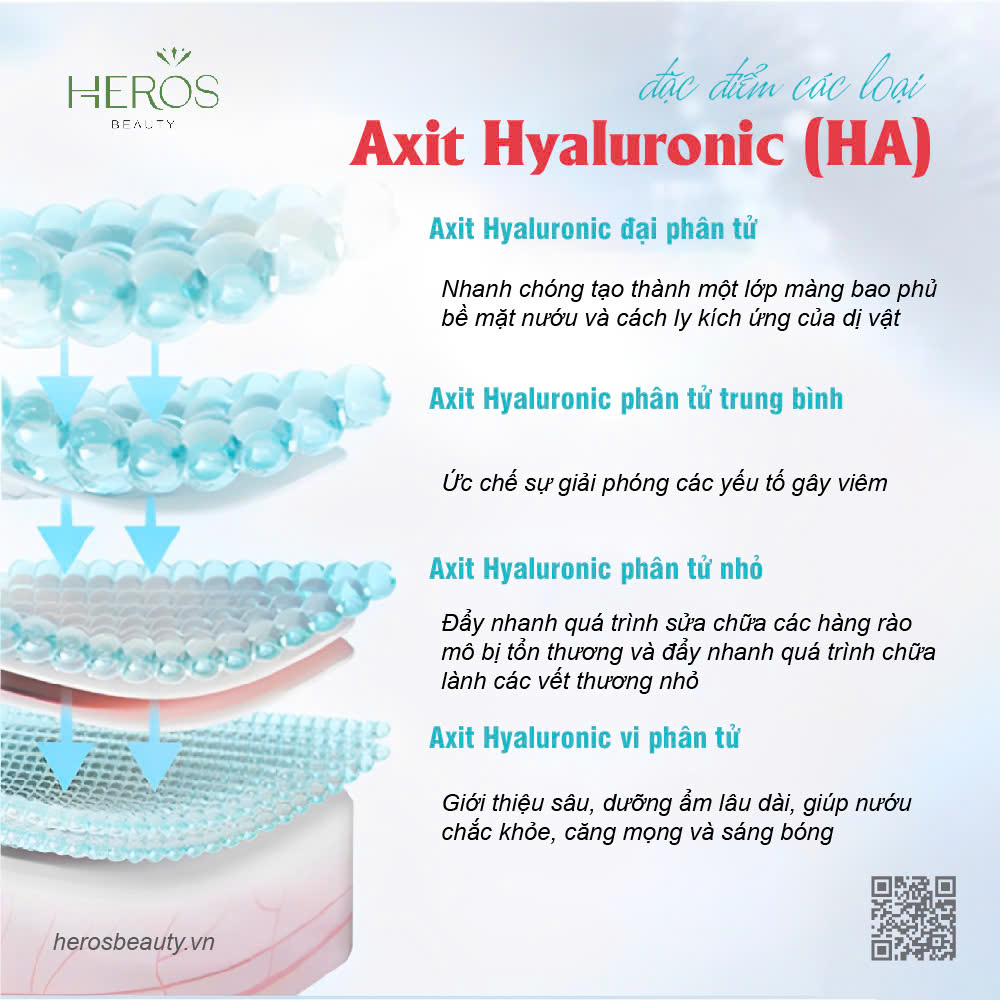 ĐẶC ĐIỂM CỦA CÁC LOẠI AXIT HYALURONIC (HA)
