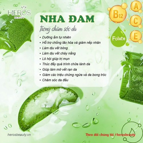 8 công dụng tuyệt vời của nha đam trong chăm sóc da
