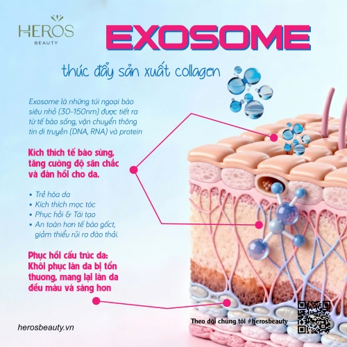 Exosome - Giải pháp thúc đẩy sản xuất collagen an toàn, hiệu quả